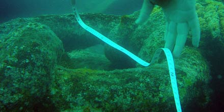 Siti di Archeologia Subacquea ad Ustica