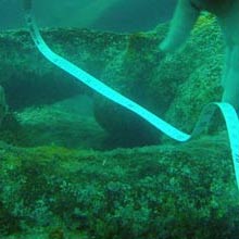 Underwater Archeology Sites in Ustica
