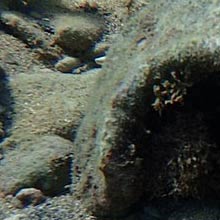 Underwater Archaeological Site of Gadir
