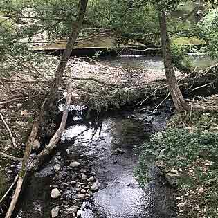 Sorgente del fiume Alcantara