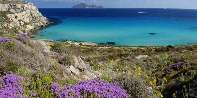 Favignana Beaches and Caves