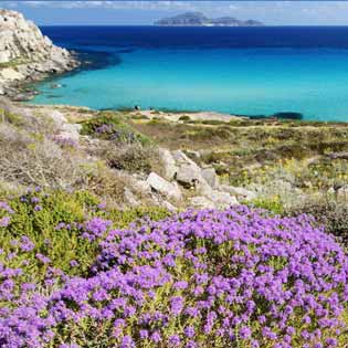 Favignana Beaches and Caves