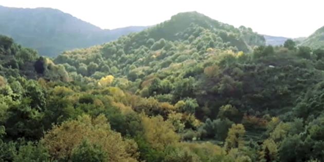 Valley of the Plane Trees in Antillo
