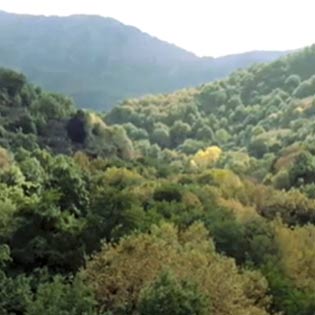 Valley of the Plane Trees in Antillo
