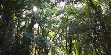 Furi valley in Cinisi