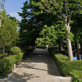 Milana garden in Linguaglossa