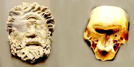 Curiosities about the Cyclops
