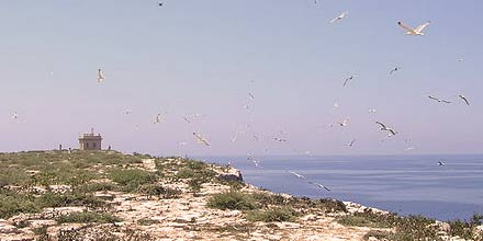 leggenda-isola-di-lampione-lampedusa