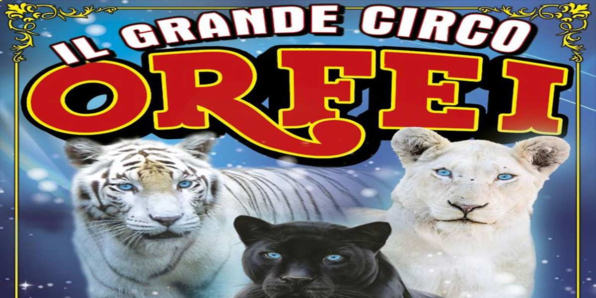 Circo Orfei a Palermo Circo Orfei a Palermo