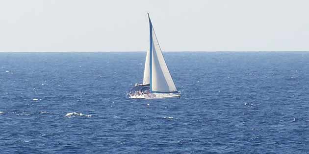 Eolian Cup a Salina