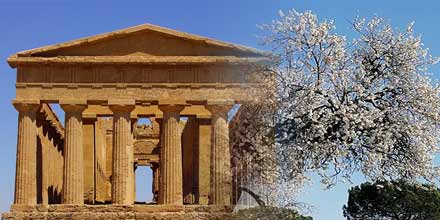 Mandorlo in fiore Agrigento 2024