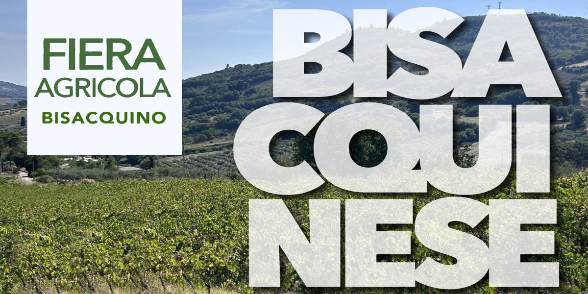 Fiera agricola a Bisacquino Fiera agricola a Bisacquino
