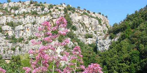 Giornata FAI di Primavera