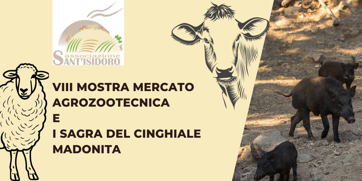 Market Exhibition - Gangi Wild Boar Festival