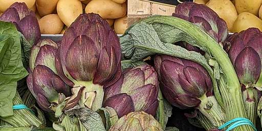 Niscemi Violetto Artichoke Festival