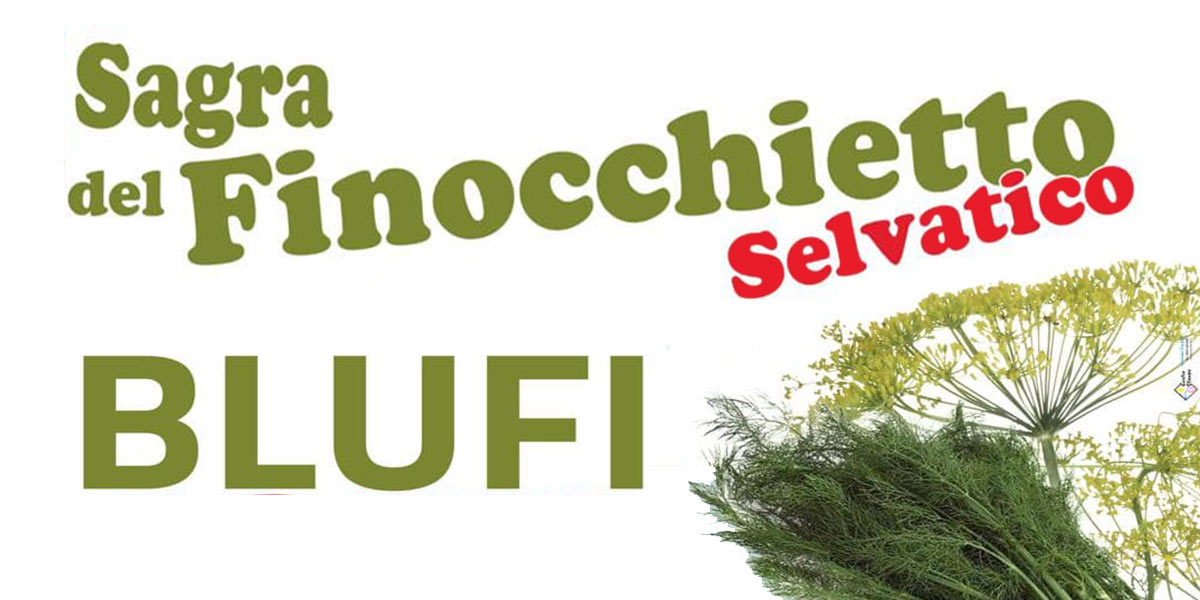 Wild fennel festival in Blufi