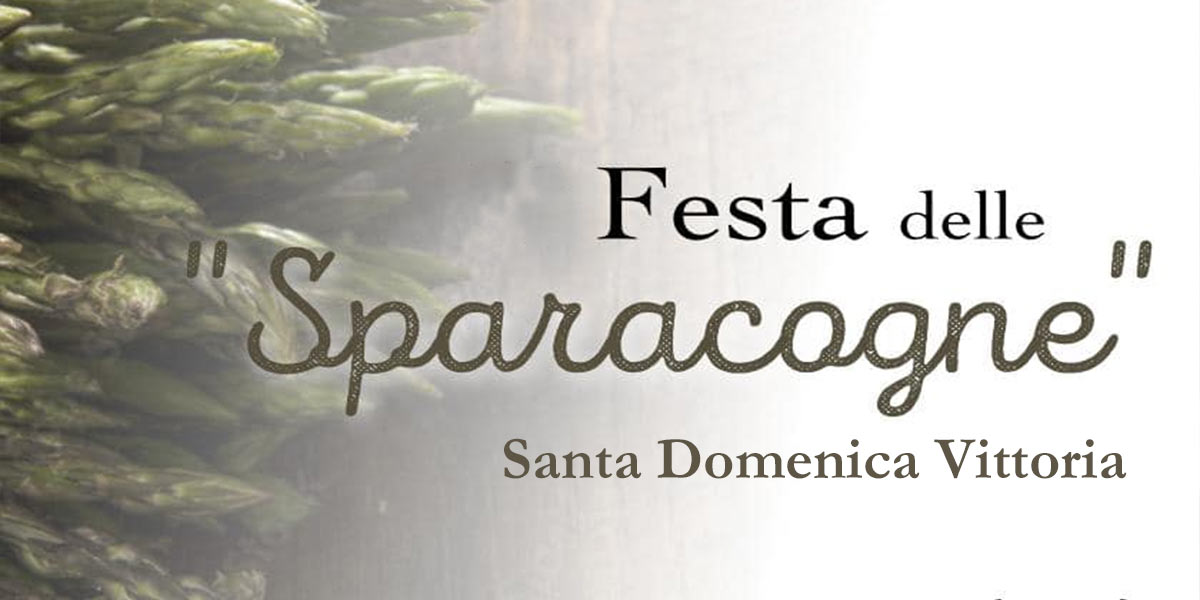 Festa delle Sparacogne a Santa Domenica Vittoria