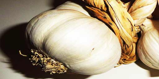Red Garlic of Nubia