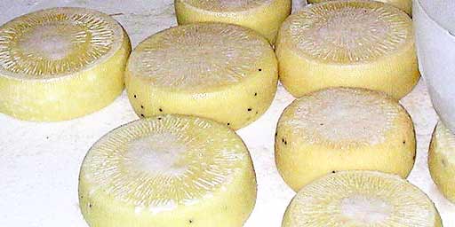 Canestrato siciliano