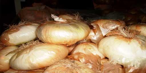 Onion of Giarratana