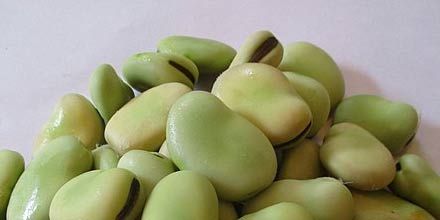 Fava beans from Ustica