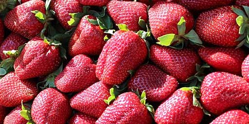 Fragola di Cassibile