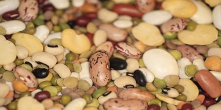 Sicilian legumes