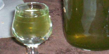 Wild fennel liqueur