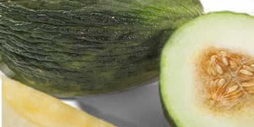 Melone Purceddu d'Alcamo