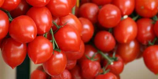 Pomodoro Pizzutello delle Valli Ericine