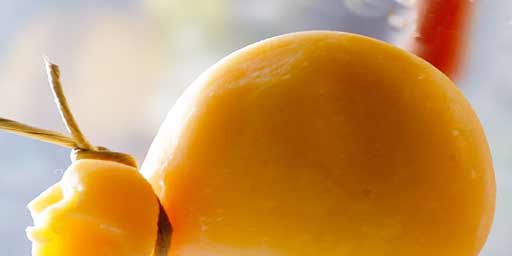Provolone of Nebrodi