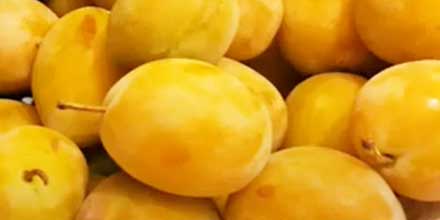 White plum from Monreale