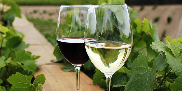 Vini siciliani